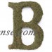 Large (15") Moss Monogram, A   555722751